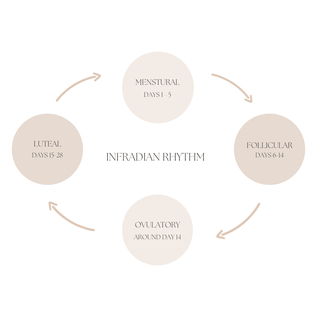 Unlocking Your Infradian Rhythm for Hormonal Balance - Kayle at Home