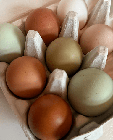 Why Eating Protein Will Make You Feel Your Best – Benefits for Health & Skin - Kayle at Home