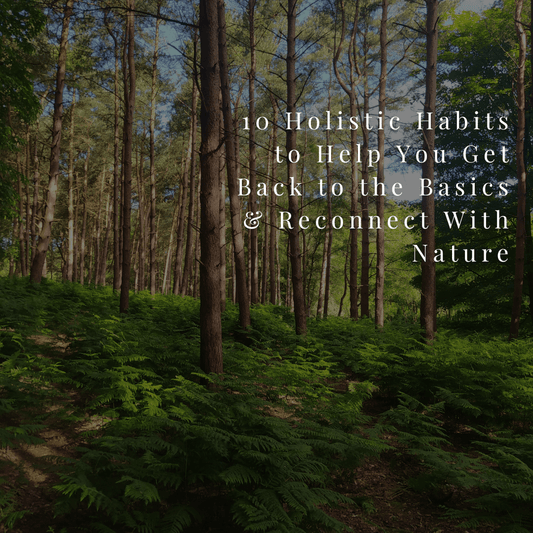 Serene forest landscape with sunlight streaming through trees, overlaid with text: “10 Holistic Habits to Help You Get Back to the Basics & Reconnect With Nature.