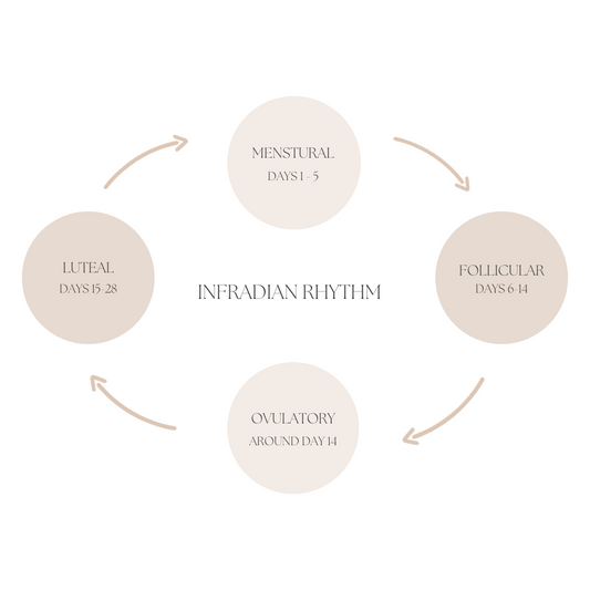 Your Infradian Rhythm: A Path to Balance and Well-being