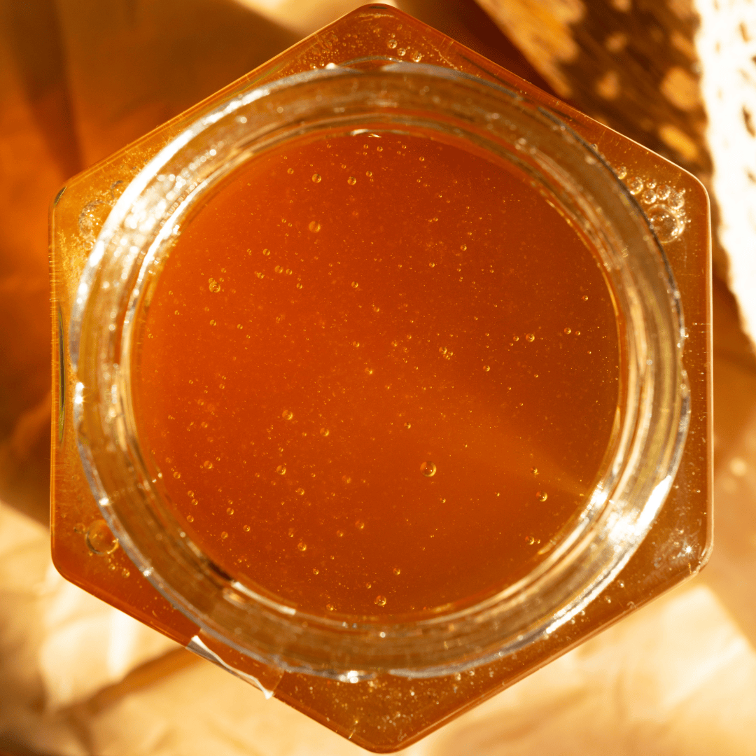 Honey - Kayle at Home
