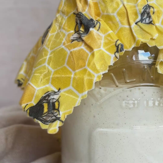 Kayle at home sourdough starter in jar with wax wrap