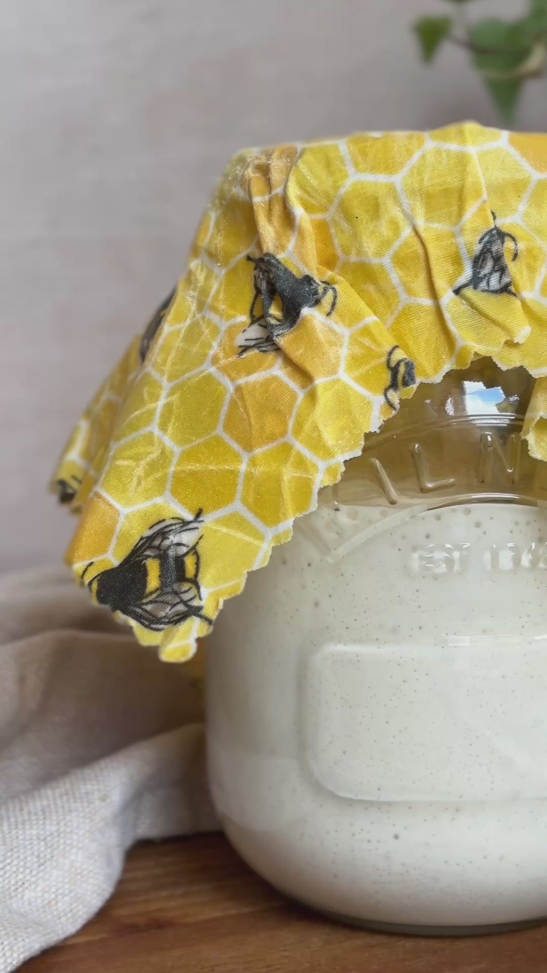 Kayle at home sourdough starter in jar with wax wrap
