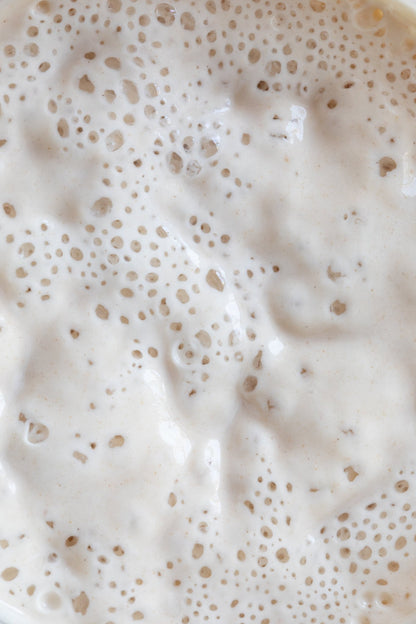 Sully Sourdough Starter - Kayle at Home